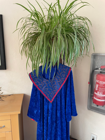 Eine Chorrobe unter einer Grünpflanze, so dass es aussieht, als habe die Robe eine Frisur